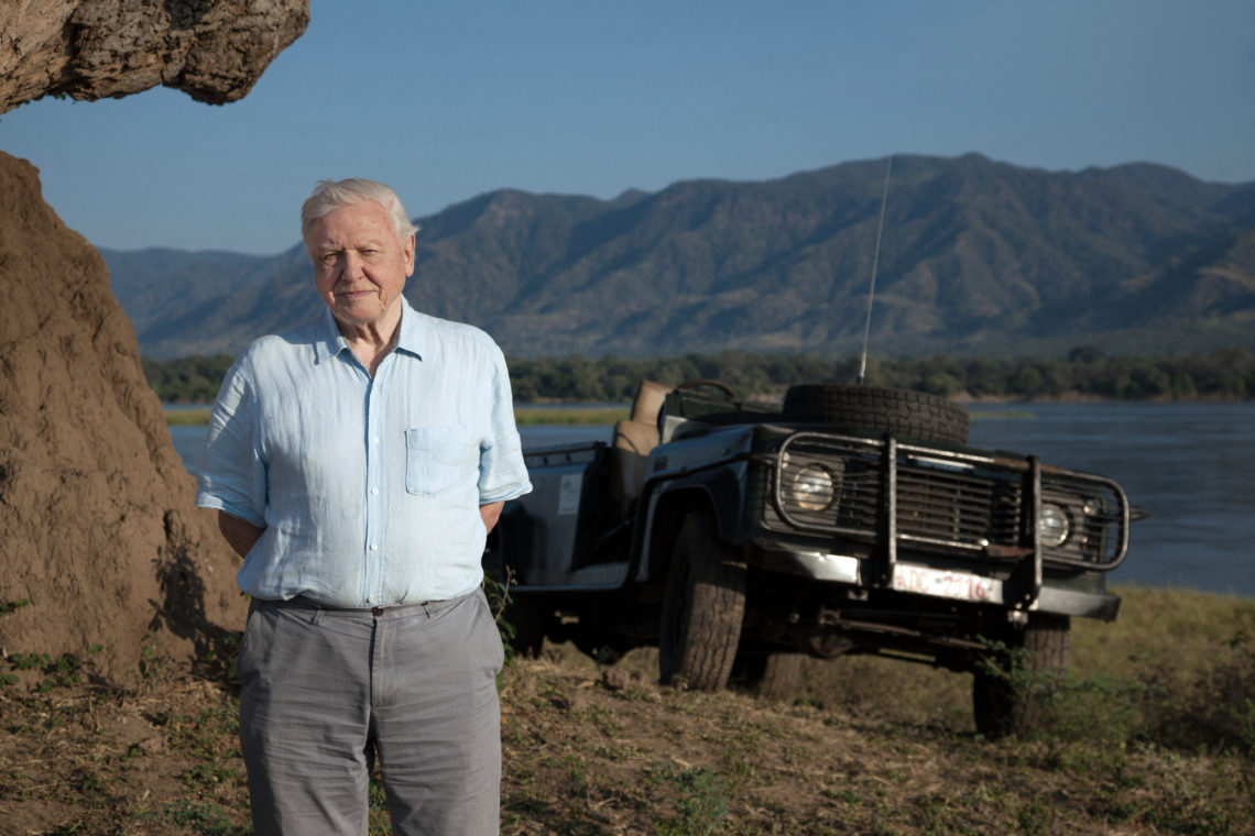 How OLD is David Attenborough? - How did his career begin?