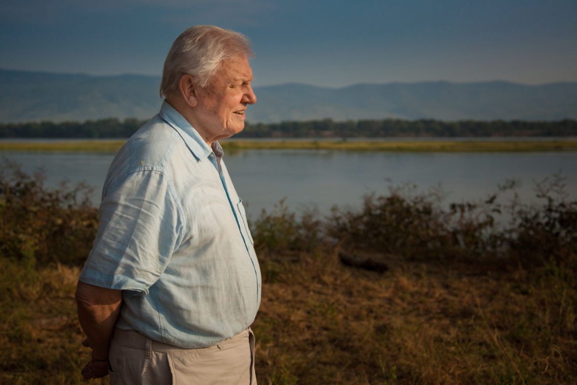 David Attenborough's new series: What is the MEANING of Dynasties?