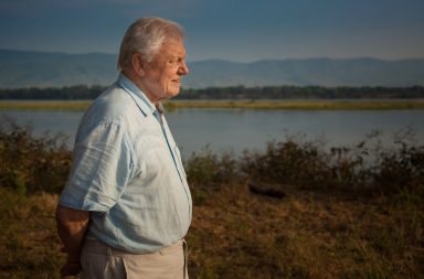 Sir David Attenborough - (C) Nick Lyon - Photographer: Nick Lyon