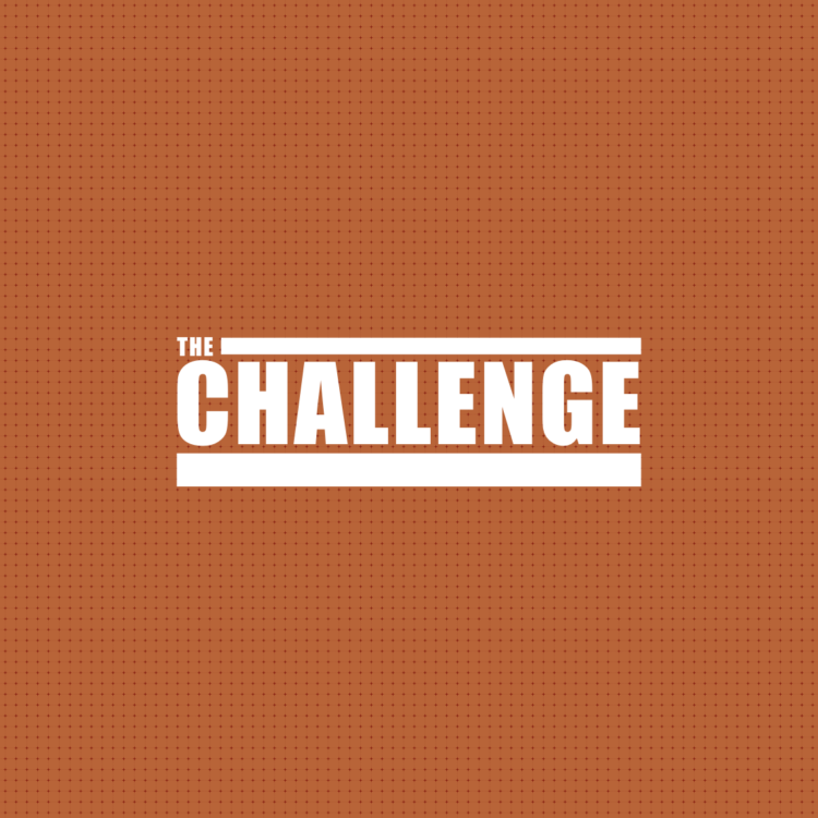 The Challenge 33: Cast, episode guide, final and more!