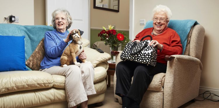 Gogglebox 2019 has a confirmed start date for this month