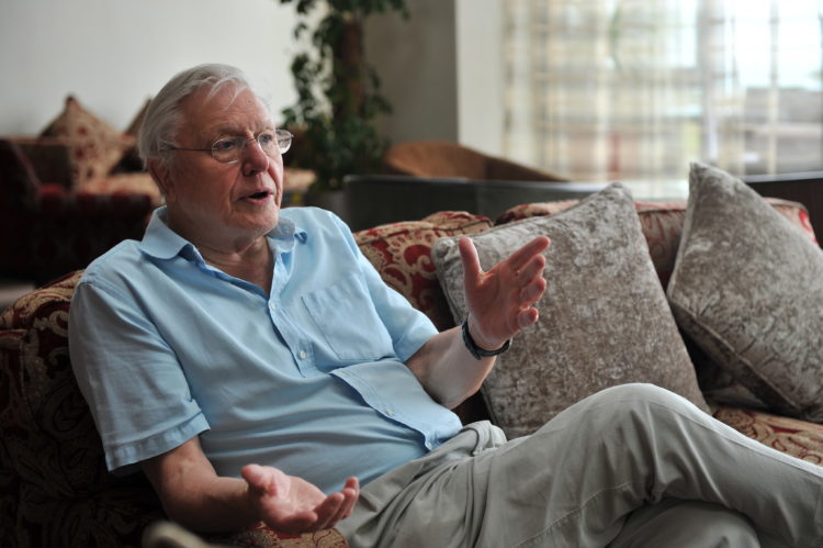 Can you watch the full David Attenborough's Natural Curiosities series online? Is it a new Attenborough documentary?