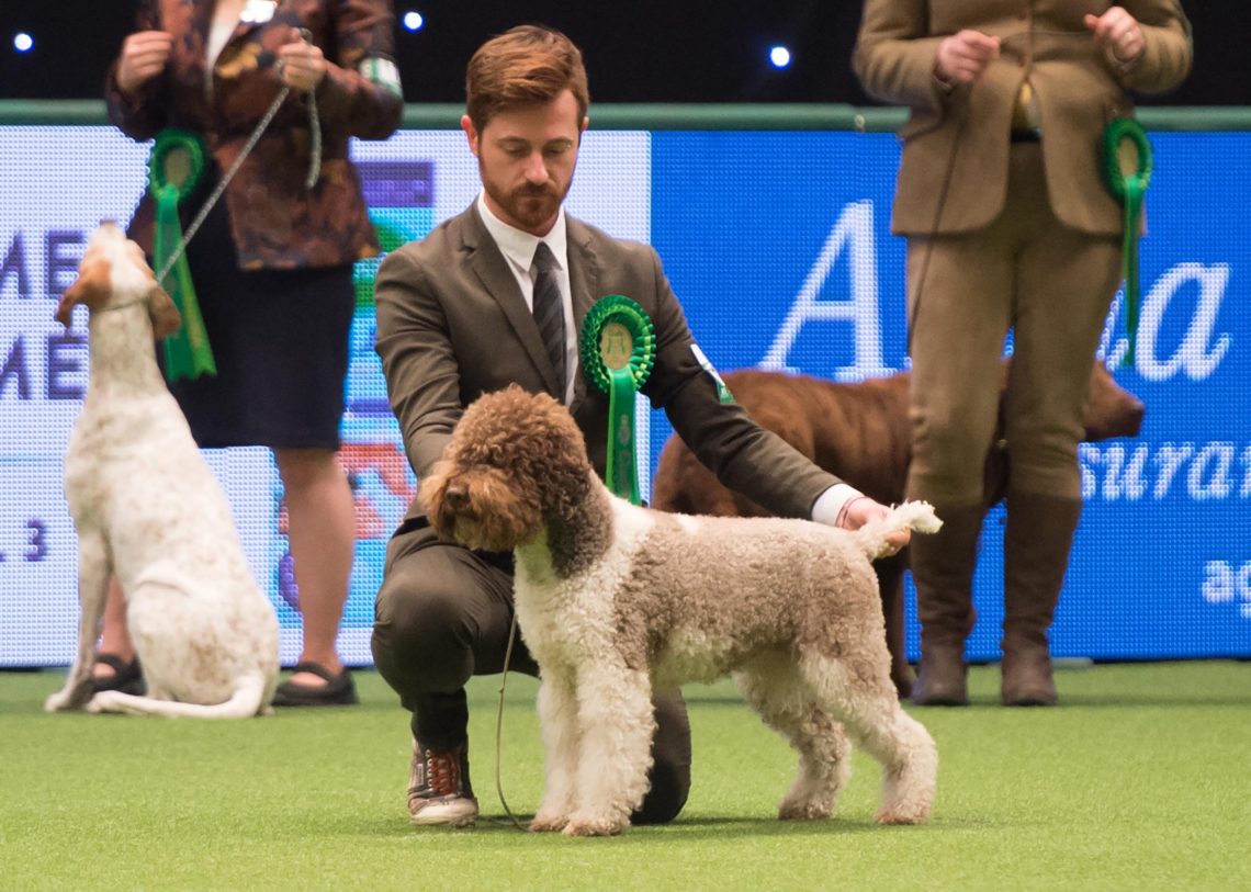 How to apply for next year's Crufts 2020 competition featuring rules and regulations for your doggo