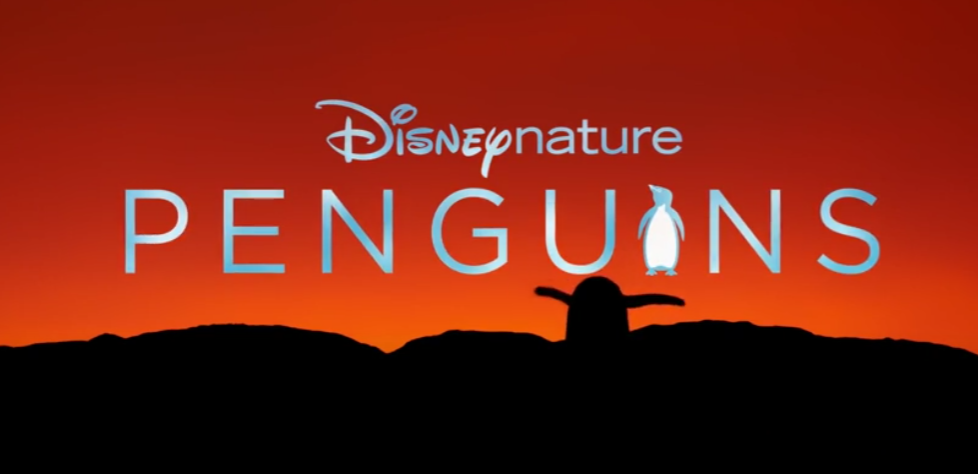 Penguins release date - the charming Disneynature documentary which comically explores the beauty of a kingdom