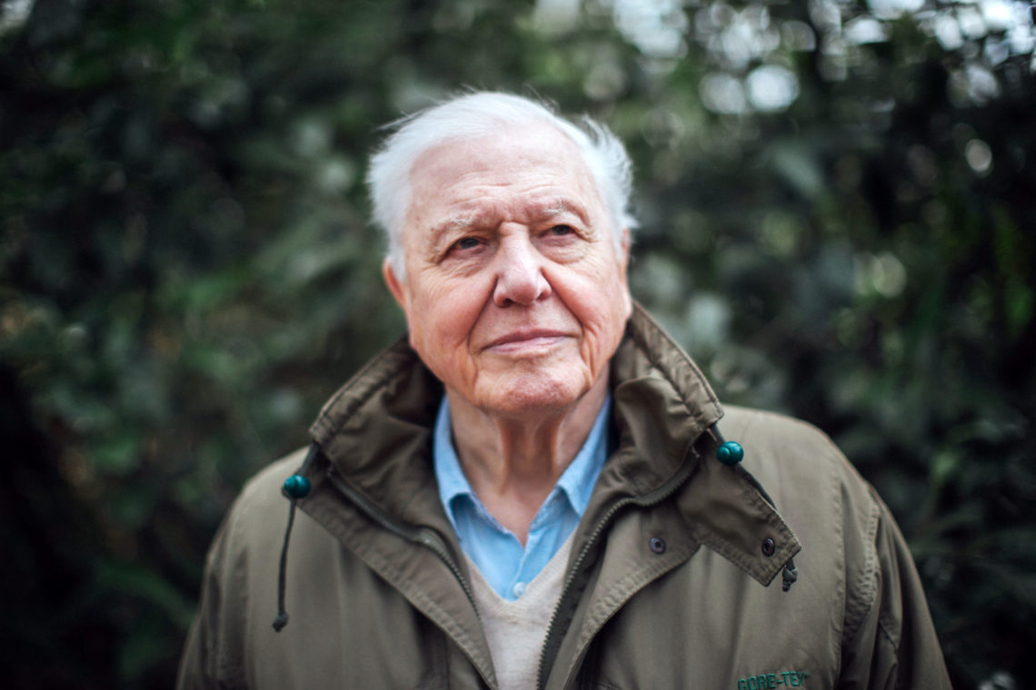 How to watch David Attenborough's new climate change documentary? When is it on TV?