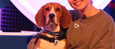 Who owns new Blue Peter dog Henry? Where did he come from and what breed is he?