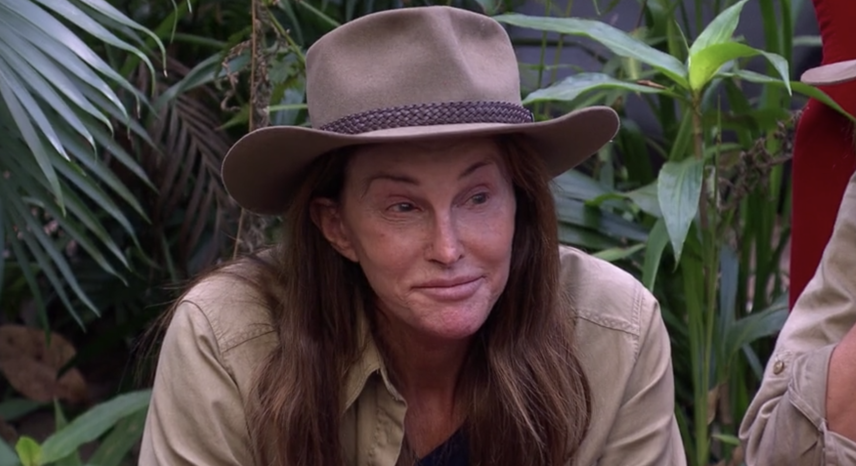 When did Bruce do I'm A Celebrity? Did he do well on the show?