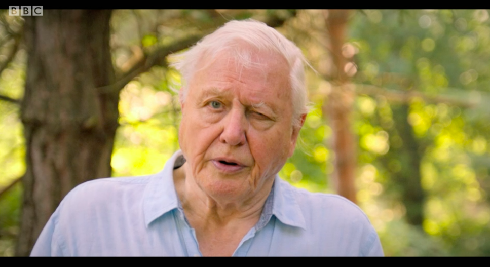 Why is David Attenborough's eye closing? Fans concerned for presenter's health