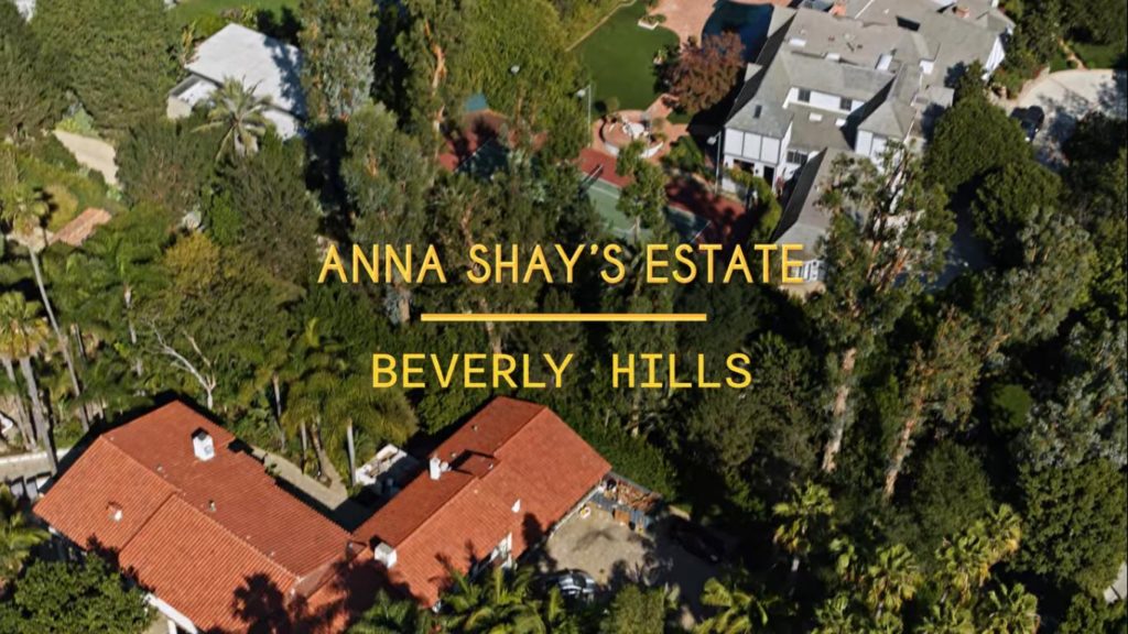 Bling Empire: Who are Anna Shay's parents? Ethnicity of Netflix star  explored