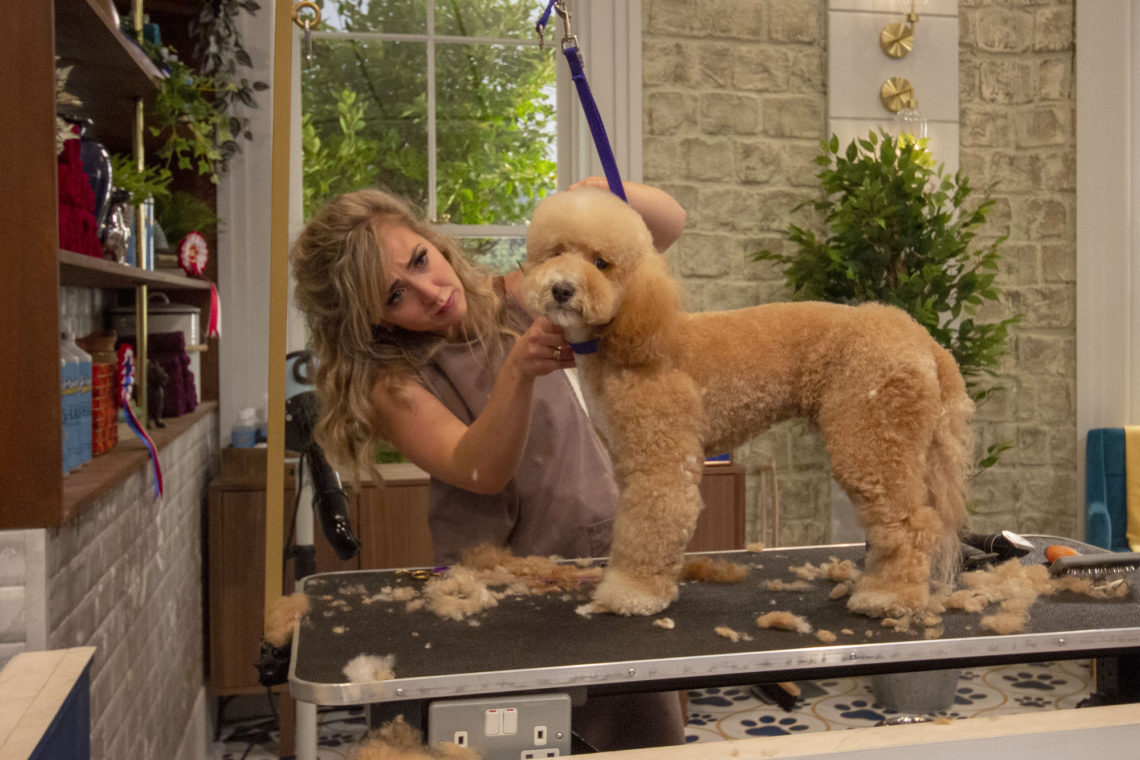 Where is Pooch Perfect filmed? BBC's grooming show location revealed!