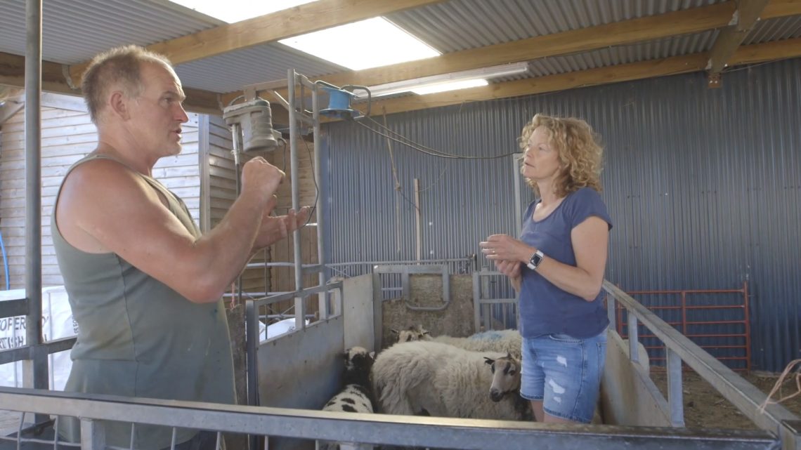 Who is farmer Tim Stephens on Kate Humble's farm? Meet the Channel 5 star!