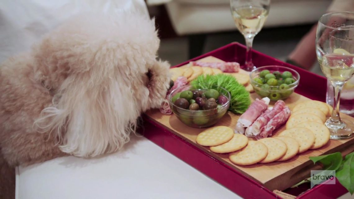 RHONY: Who is Marley? Sonja's cheeseboard-eating dog adored by fans!