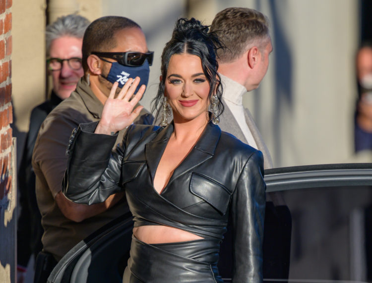 Katy Perry is officially one of Normandy's 'kitten nuggets' on American Idol