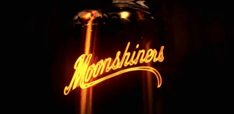 Yes, Moonshiners Danielle Parton is one of 'those' Partons