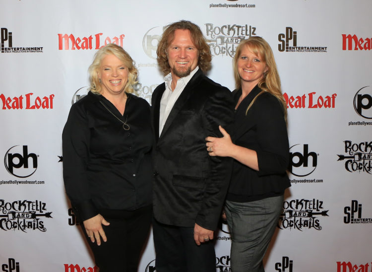 Sister Wives fans are 'so happy' Janelle and Christine Brown keep in touch