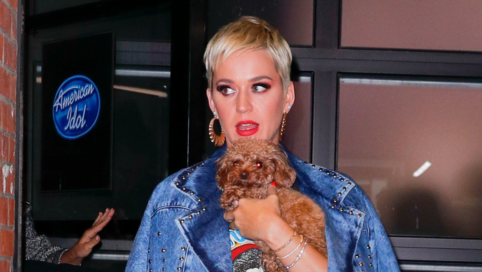 What kind of dog does Katy Perry have? Nugget cameos on American Idol