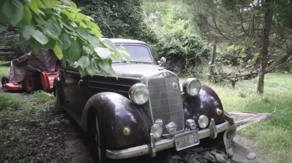Derelict vintage Mercedes with Sly 3 license plate in abandoned woods
