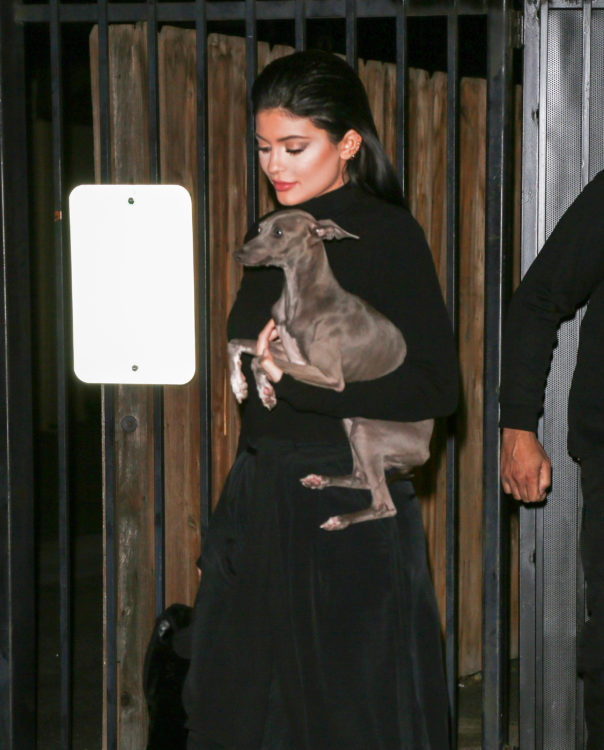 How many dogs does Kylie Jenner have? Kris 'didn't allow' her favorite pet as a child